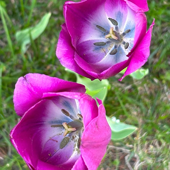 Meet your Posher - Picture 6 of 9